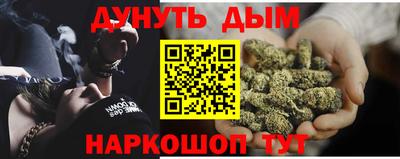 PSILOCYBIN Гатчина