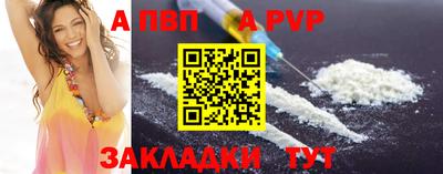 PSILOCYBIN Гатчина